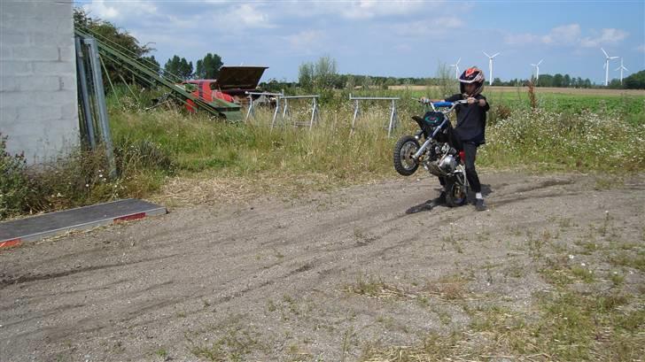 MiniBike dirt bike 110ccm billede 14