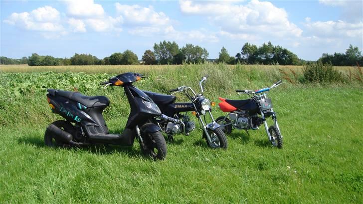 Honda dax (solgt) billede 10