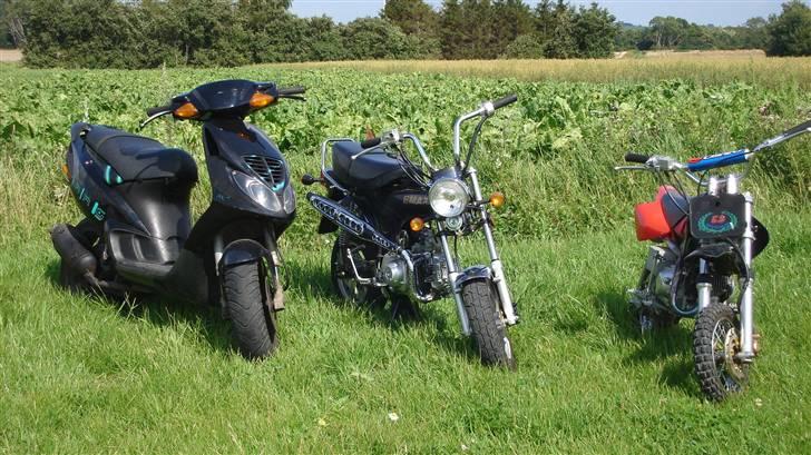 Honda dax (solgt) billede 11