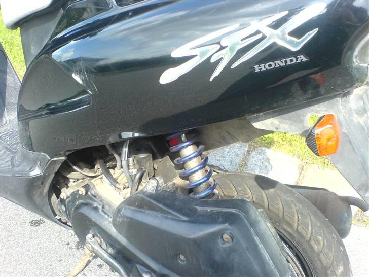 Honda SFX projekt billede 4