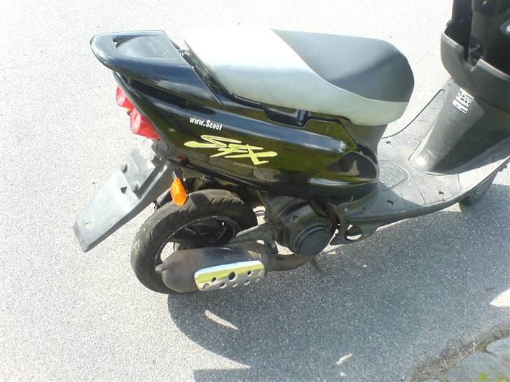 Honda SFX projekt billede 5