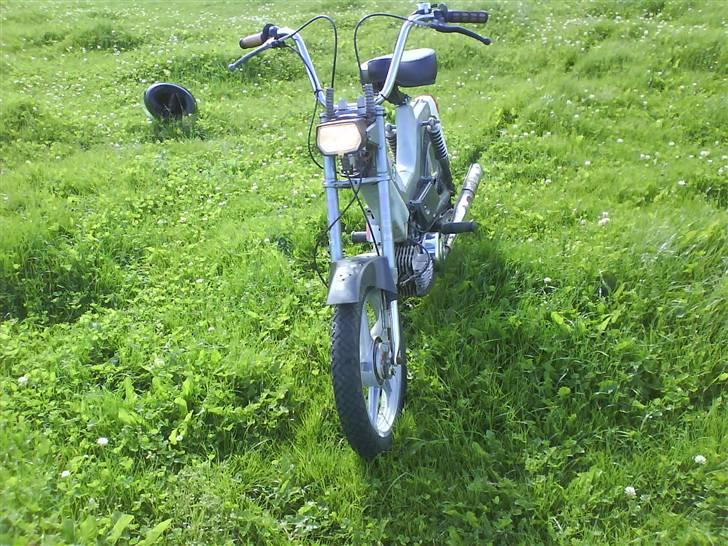 Puch Maxi P1 *solgt* billede 3