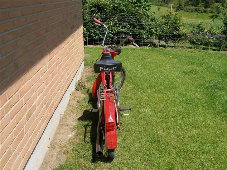 Puch maxi k (byttet til cpi) billede 3