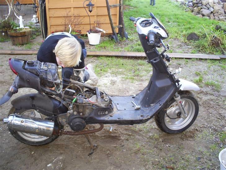 CPI Popcorn TS LC DD 18.10 HK STJÅLET!! - ja såden har hun set ud men det gør hun ikke længer billede 20