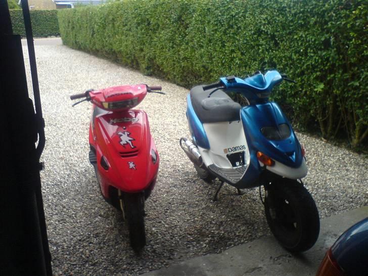 Gilera stalker solgt billede 14