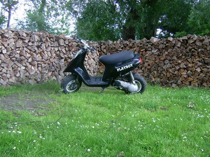 Piaggio typhoon *Sælges/Byttes* billede 2