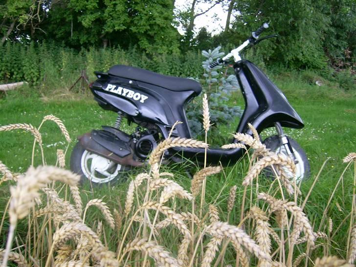 Piaggio typhoon *Sælges/Byttes* billede 11