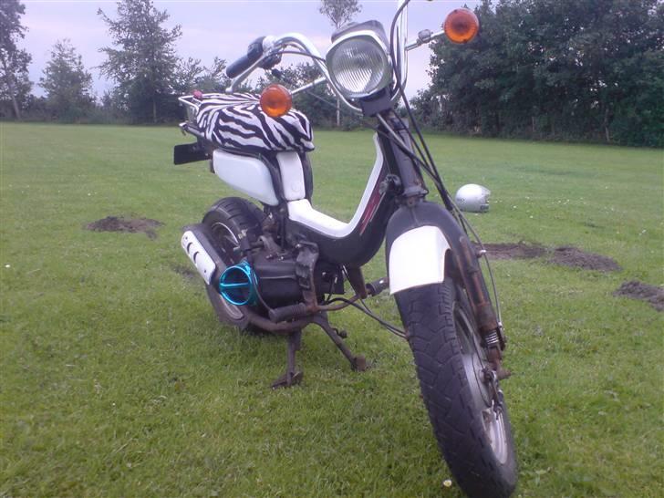 Suzuki Popcorn - SOLGT billede 1