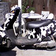 PGO Hot 50 ( The Ko )