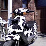 PGO Hot 50 ( The Ko )