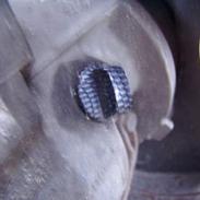 Kreidler easy rider*Team ALL STARS