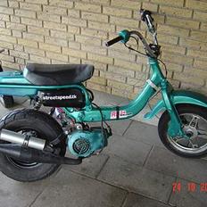 Suzuki hot 55 