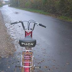 Puch Maxi kl