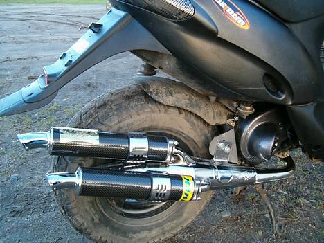 Gilera stalker - Min lille pot billede 5