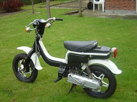 Suzuki fz50 billede 6