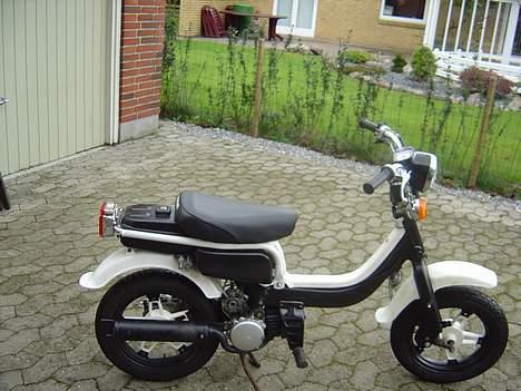 Suzuki fz50 billede 8