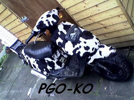 PGO Hot 50 ( The Ko ) - Det er da nice det billede! billede 2