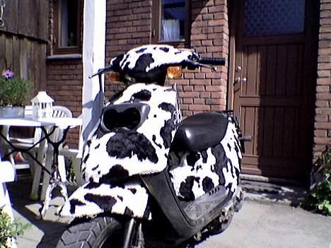 PGO Hot 50 ( The Ko ) - skråt forfra! billede 4