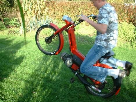 Puch Maxi P billede 1