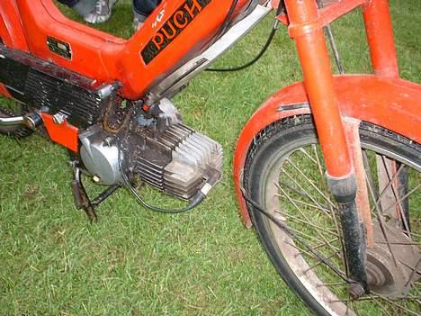 Puch Maxi P billede 5