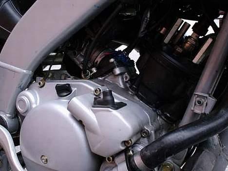 Peugeot XPS - DR 49mm Sylinder--- MHR Dellorto 26mm Forgasser--- Malossi Reeds--- Malossi Clutch--- Malossi filter---Kundo Krd Veiv 15000Rpm! billede 5