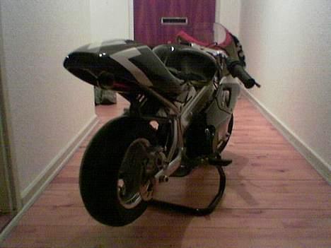 MiniBike daytona g2 billede 4