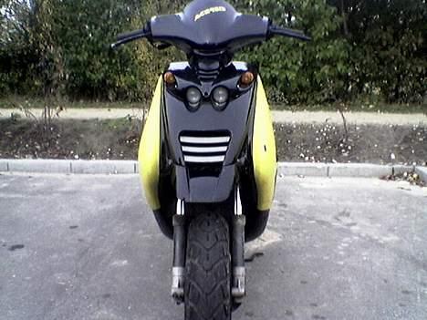 Beta ARK LC billede 2