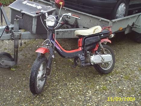 Suzuki Fz50 billede 2