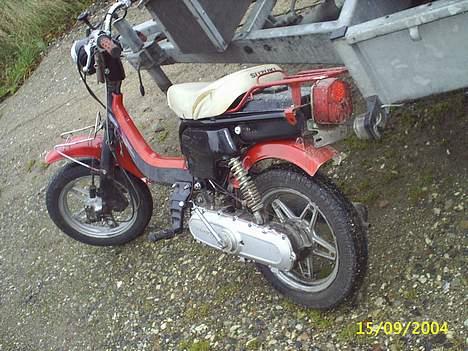Suzuki Fz50 billede 3