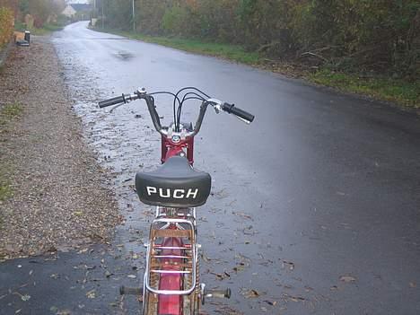 Puch Maxi kl billede 3