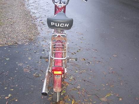 Puch Maxi kl billede 4