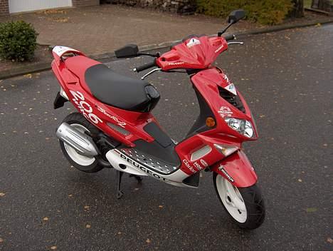 Peugeot Speedfight 2 wrc 206 billede 1