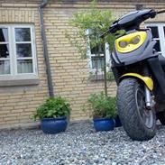 PGO Hot 5o] byttet til aerox