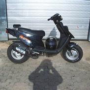 PGO Hot 50 >>SOLGT<<