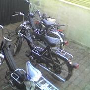 Puch maxi k *SOLGT*