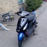 Giantco Sprint Sport