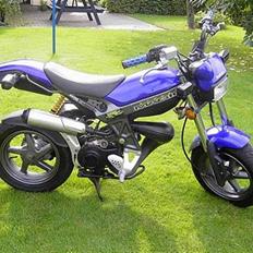 Suzuki Street magic (byttet)