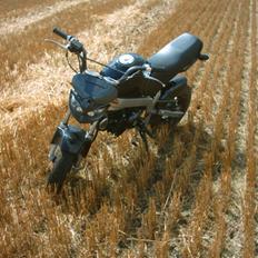 Skyteam PBR 125 om bygget (VÆK)