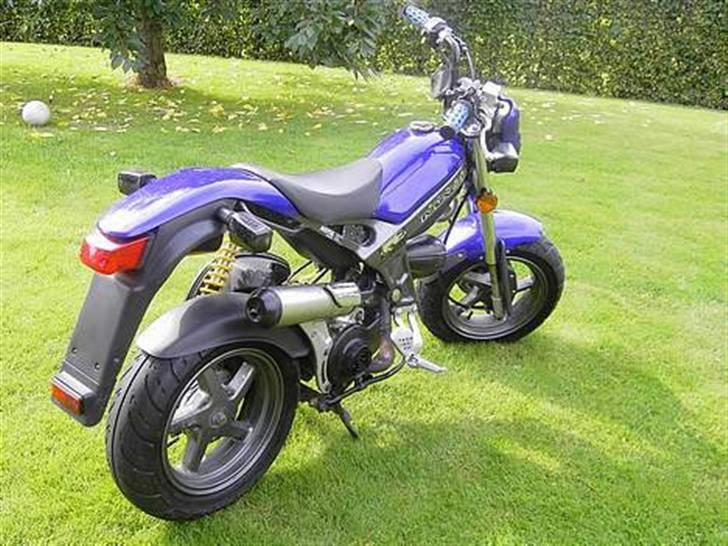 Suzuki Street magic (byttet) billede 4
