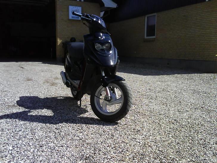 PGO hot 50 solgt billede 2