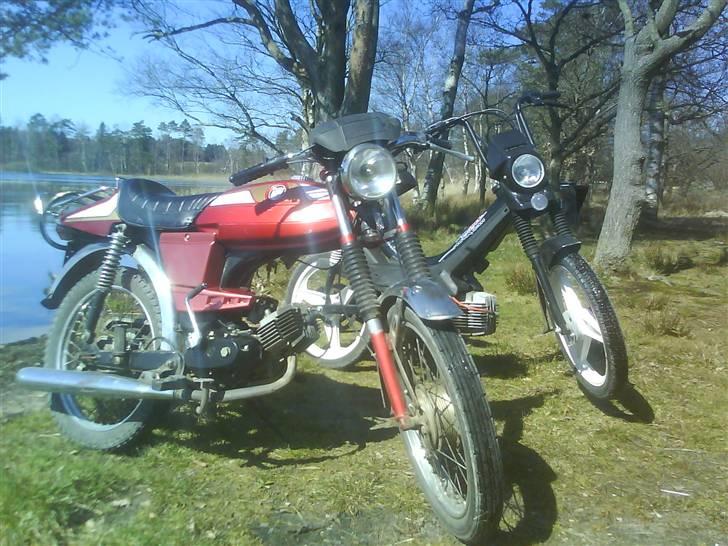 Puch Monza N- 50 SL2 billede 9