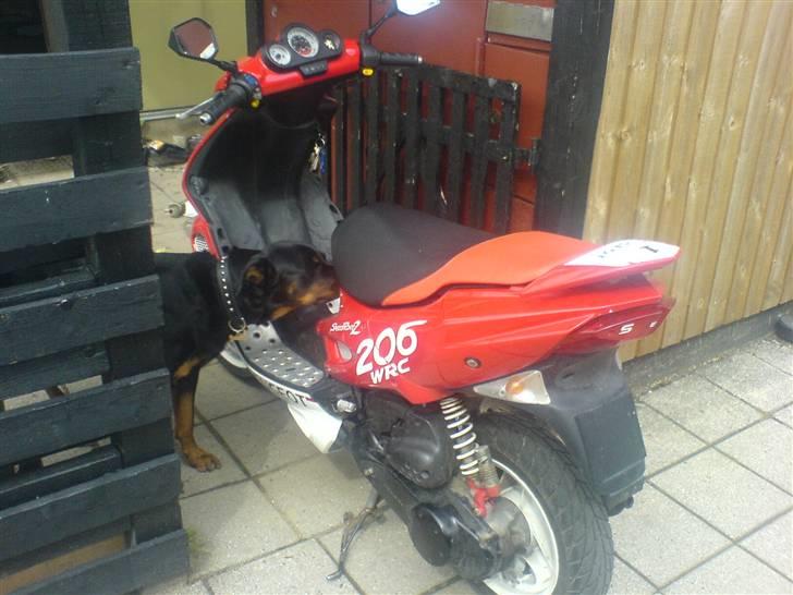 Peugeot speedfight 2 wrc solgt billede 6