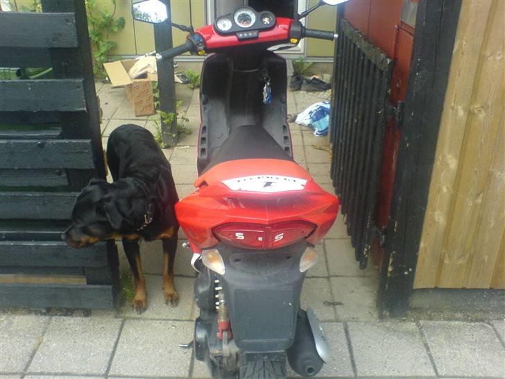 Peugeot speedfight 2 wrc solgt billede 8