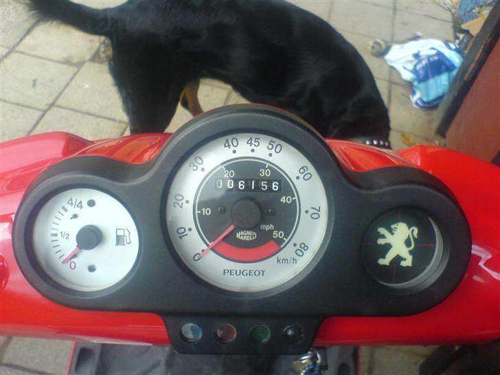 Peugeot speedfight 2 wrc solgt billede 9