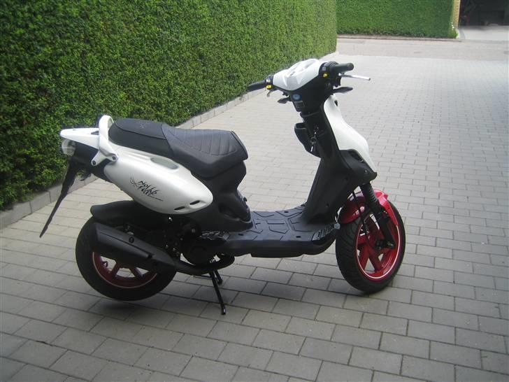 PGO PMX sport "NO FEAR" xD - PMX´er (: billede 4