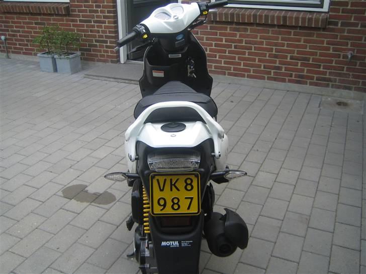 PGO PMX sport "NO FEAR" xD - Røven den er go´ (: billede 5