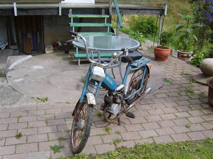 Sco populær billede 1