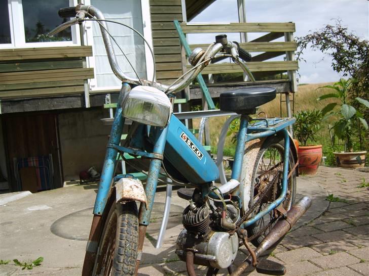 Sco populær billede 3