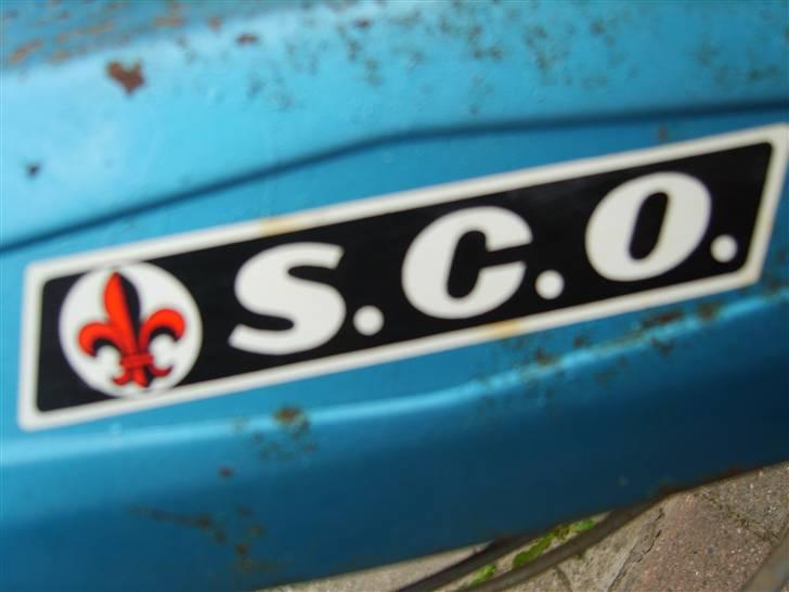 Sco populær billede 4