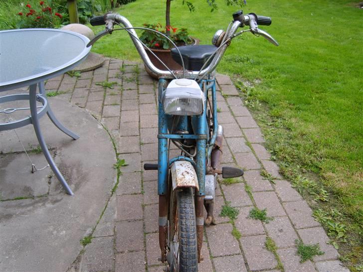 Sco populær billede 5